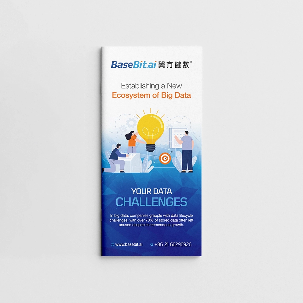 Big Data Brochure