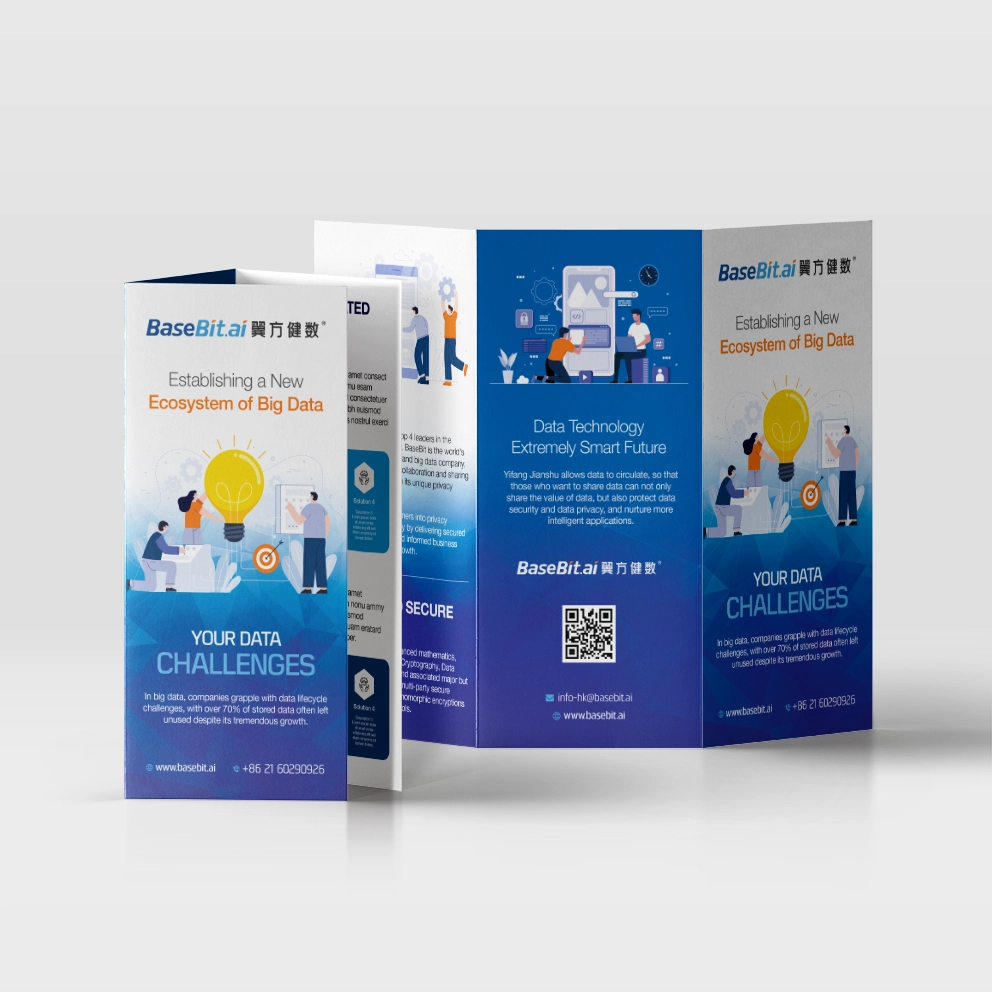 Big Data Brochure Front & Back