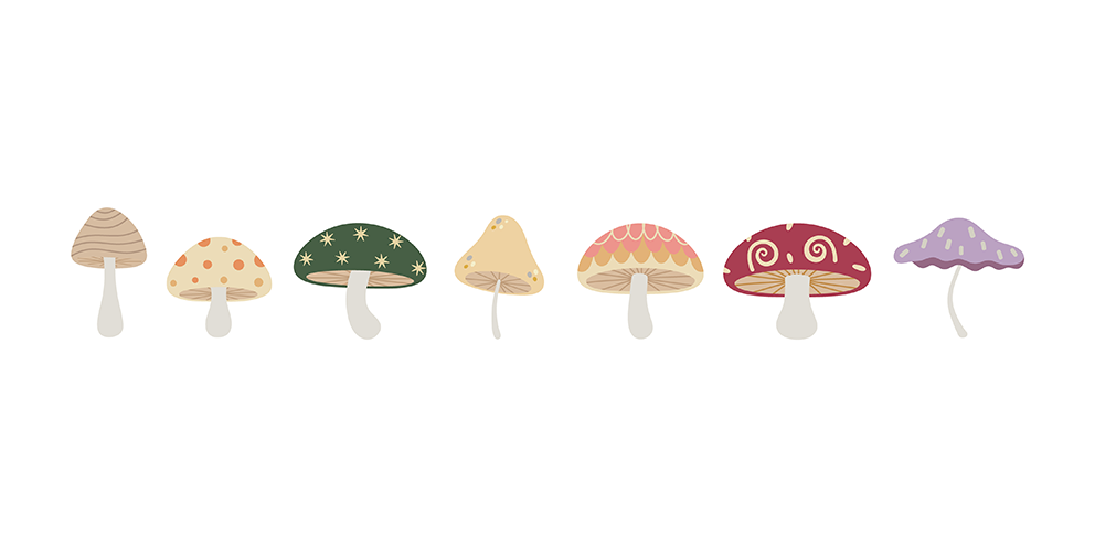 Mushroom Illustration Set