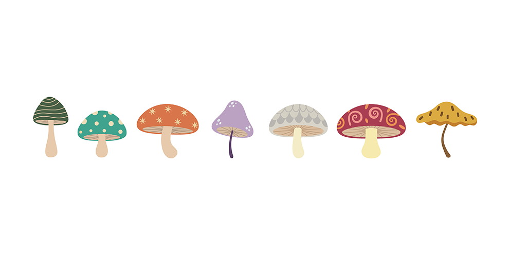 Mushroom Illustration Set Back