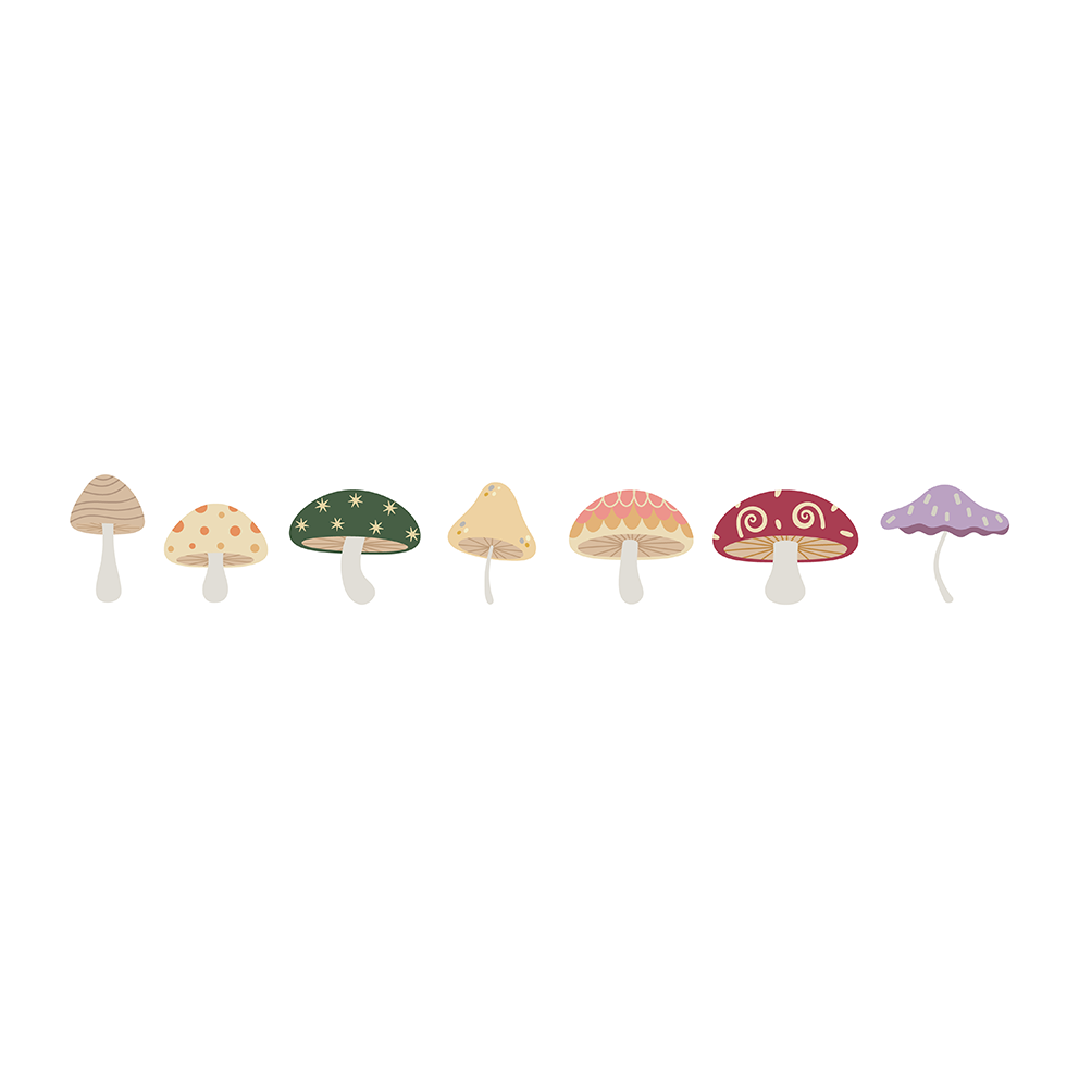 Main view of mushroom illustration set
