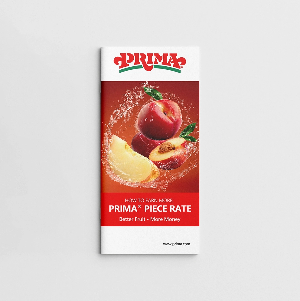 Preview of Shadow Solutions Inc. MSP trifold brochure